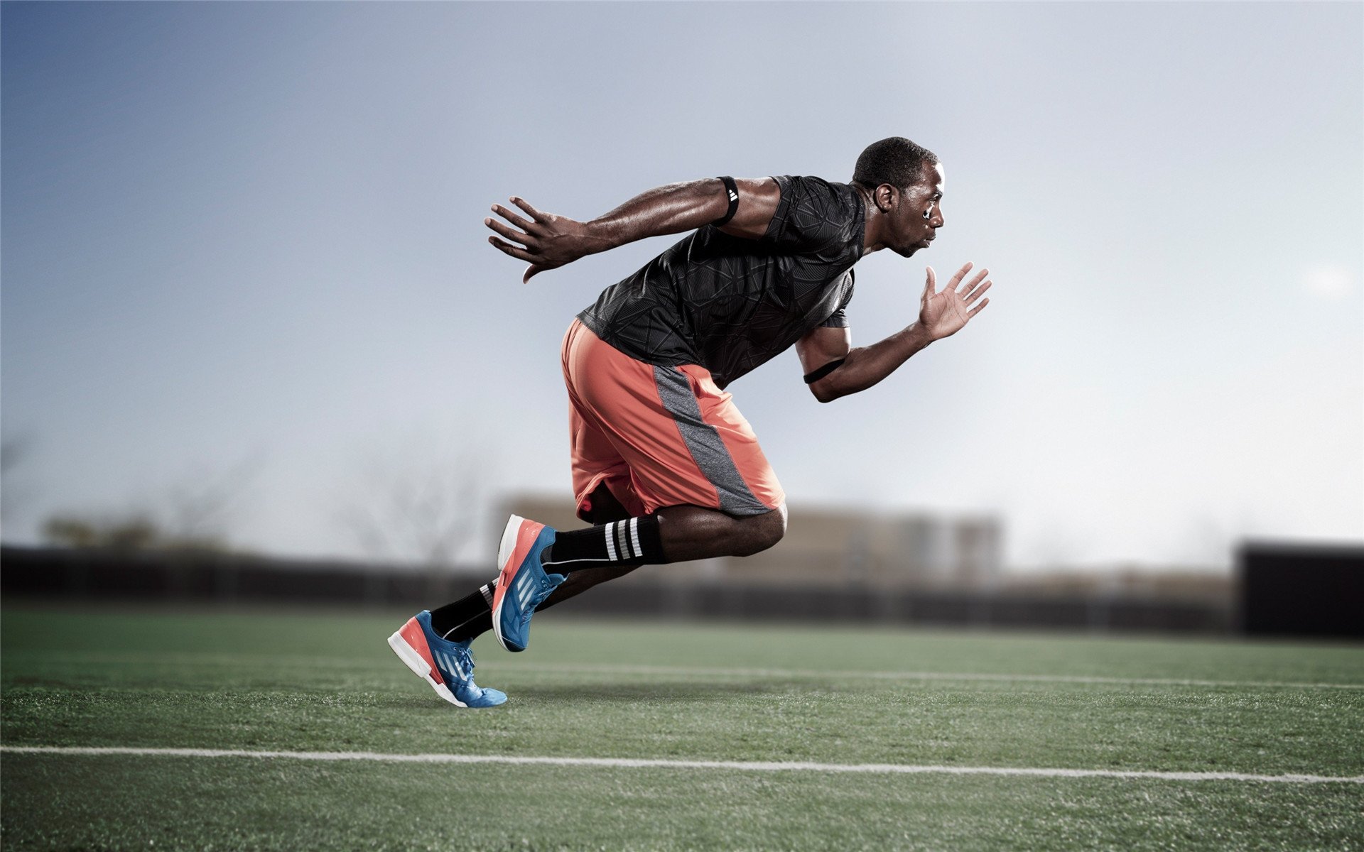 失利分析:哪些因素导致失败?,什么是失利