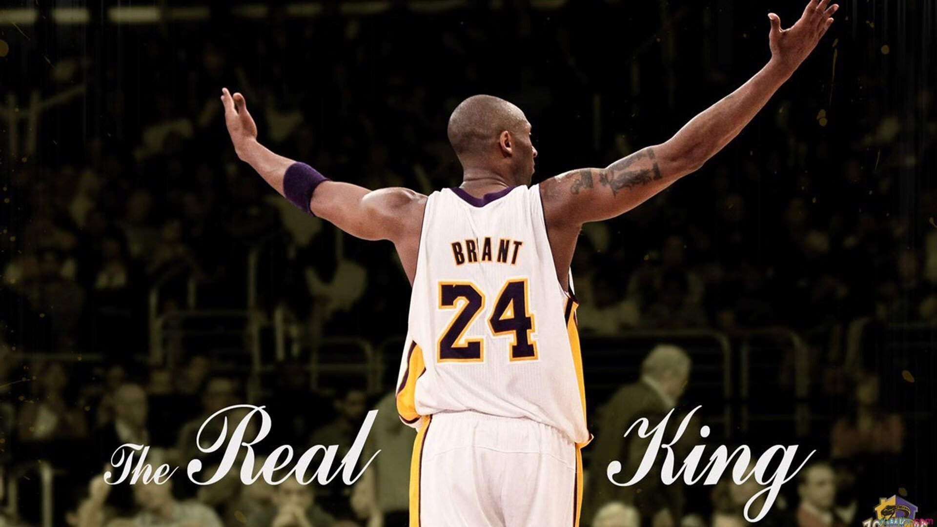 青训体系缺少科学评估标准,青训定义